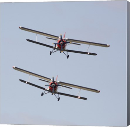 Framed Two Antonov An-2 bi-planes in Formation Over Czech Republic Print