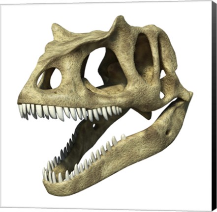 Framed 3D Rendering of an Allosaurus Skull Print