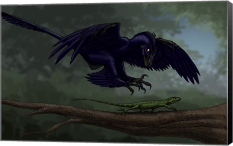 Framed Microraptor Hunting a Small Lizard on a Tree Branch Print