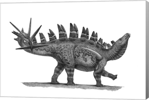 Framed Pencil Drawing of Chungkingosaurus Jiangbeiensis Print