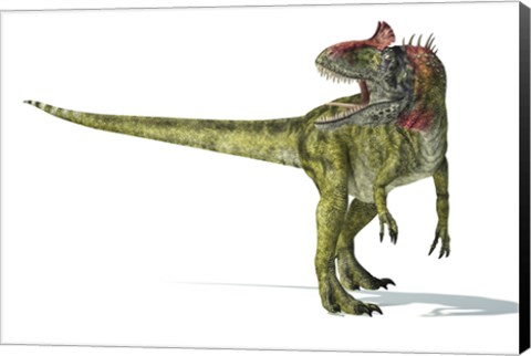 Framed Cryolophosaurus Dinosaur Print