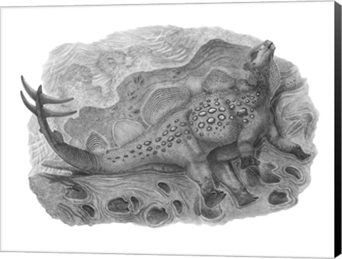 Framed Pencil Drawing of Hesperosaurus Mjosi Print