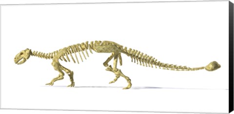 Framed 3D Rendering of an Ankylosaurus Dinosaur Skeleton Print