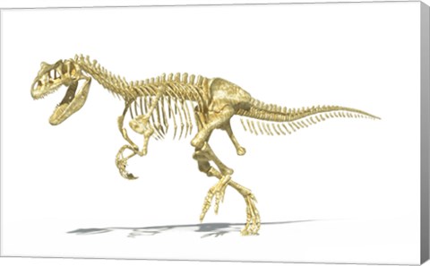 Framed 3D Rendering of an Allosaurus Dinosaur Skeleton Print