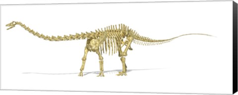 Framed 3D Rendering of a Diplodocus Dinosaur Skeleton Print