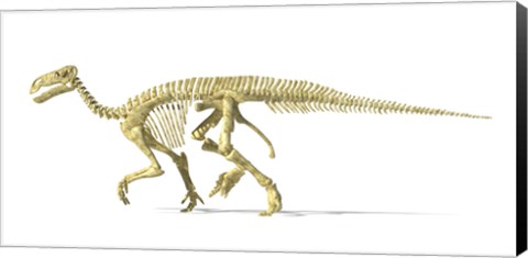 Framed 3D Rendering of an Lguanodon Dinosaur Skeleton Print