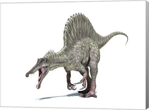 Framed 3D Rendering of a Spinosaurus Dinosaur Print
