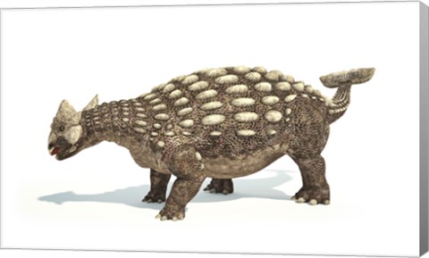 Framed Ankylosaurus Dinosaur on White Background Print