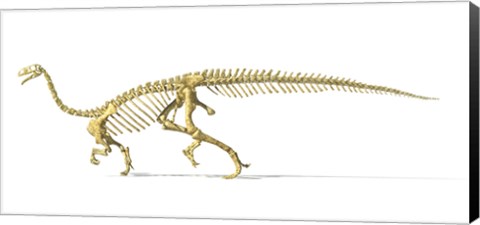 Framed 3D Rendering of a Plateosaurus Print