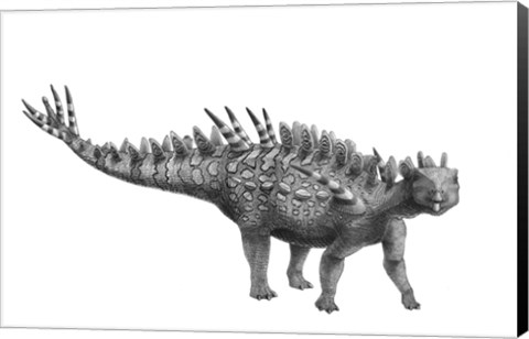 Framed Pencil Drawing of Huayangosaurus Taibaii Print