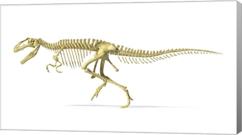 Framed 3D Rendering of a Giganotosaurus Dinosaur Skeleton Print