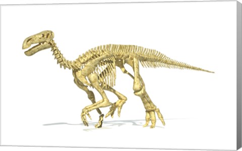 Framed 3D Rendering of an Lguanodon Dinosaur Skeleton Print