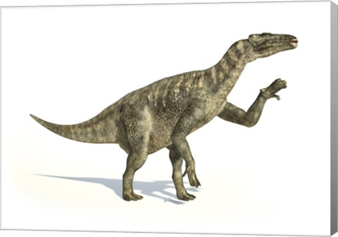 Framed Iguanodon Dinosaur in Dynamic Posture Print