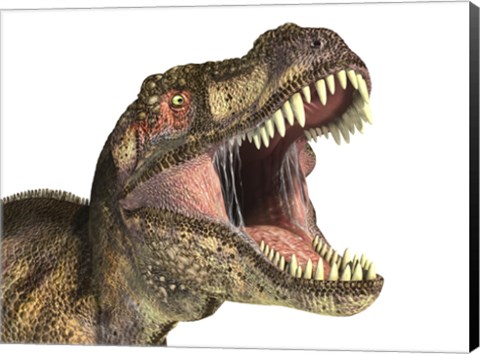 Framed Close-up of Tyrannosaurus Rex dinosaur with Mouth Open Print