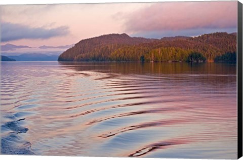 Framed Canada, British Columbia, Calvert Island, Boat wake Print