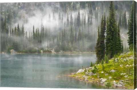 Framed Fog and Rain on Lake Eva, Revelstoke National Park, British Columbia, Canada Print