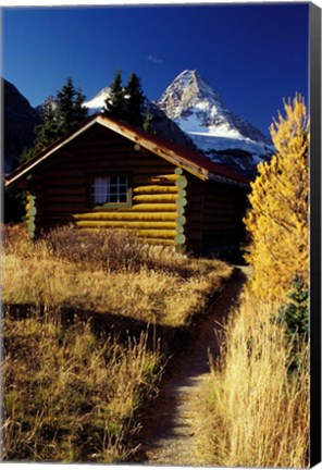 Framed British Columbia, Mount Assiniboine, Log cabin Print