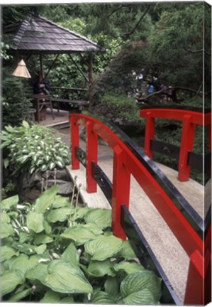 Framed Japanese Garden at Butchart Gardens, Vancouver Island, British Columbia, Canada Print