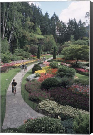 Framed Sunken Garden at Butchart Gardens, Vancouver Island, British Columbia, Canada Print