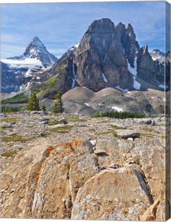 Framed Scenic of Mt Assiniboine and Wedgwood Peak, BC, Canada Print