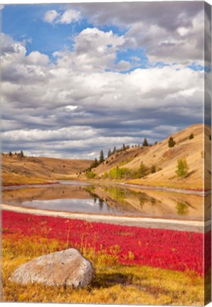 Framed Grassland landscape, Lac Du Bois Grasslands Park, Kamloops, BC, Canada Print