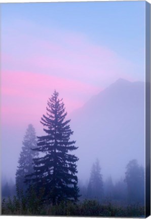 Framed Canada, British Columbia, Mount Robson Park Foggy sunrise Print