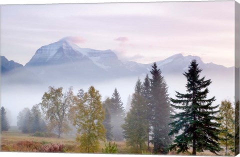 Framed Canada, British Columbia, Mount Robson Park Sunrise on mountain Print