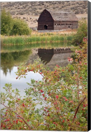 Framed Canada, Osoyoos Haynes Ranch Buildings Preservation Project Print