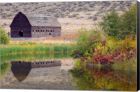 Framed Haynes Ranch Buildings Preservation Project, Osoyoos, BC, Canada Print