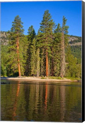 Framed Kettle River Provincial Park, British Columbia Print