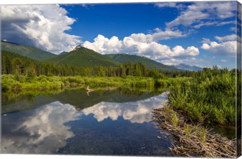 Framed Beaver pond along the Flathead River near Fernie, British Columbia, Canada Print