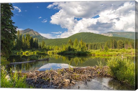 Framed Flathead River, British Columbia, Canada Print