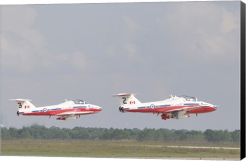 Framed Snowbirds 431 Print