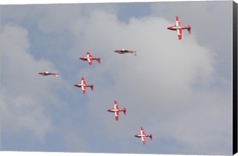 Framed Snowbirds of the Royal Canadian Air Force Print