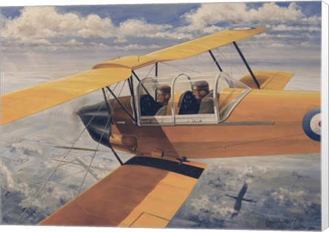 Framed De Havilland DH82 Tiger Moth basic Trainer Biplane from the 1930&#39;s Print