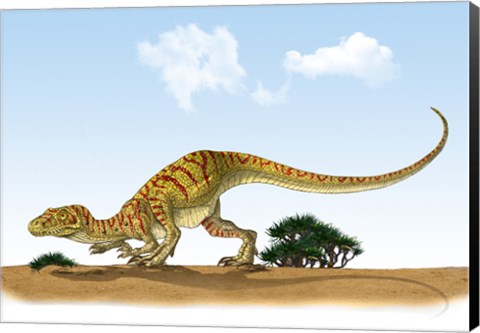 Framed Eoraptor, an early Dinosaur that Lived During the Late Triassic Period Print