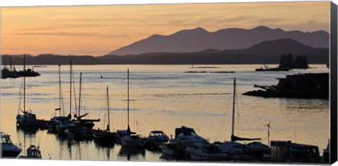 Framed Sunset at Tofino, Harbor, Vancouver Island, British Columbia Print