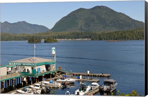 Framed Harbor, Meares Island, Vancouver Island, British Columbia Print