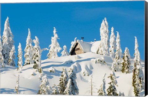 Framed Mountain cabin, Seymour Mountain, British Columbia Print