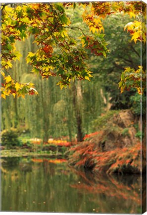 Framed Colorful Fall Leaves at Butchart Gardens, Victoria, British Columbia, Canada Print