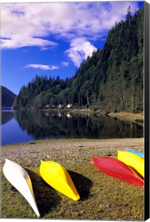 Framed Canoeing, Clayoquot Wilderness, British Columbia Print