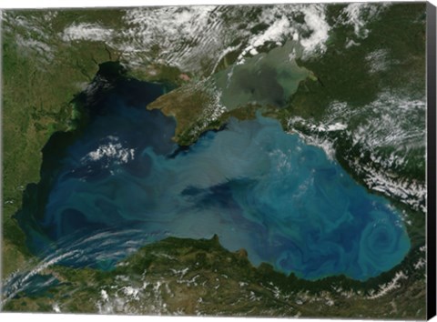 Framed Phytoplankton Bloom in the Black Sea Print