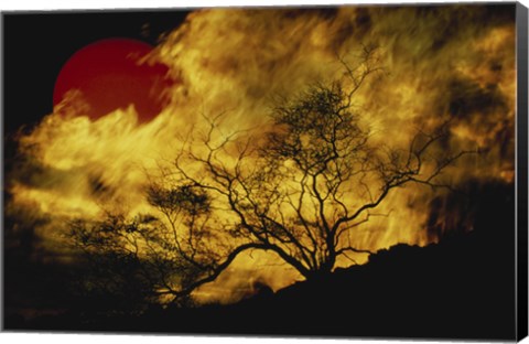 Framed Composite of a Lone tree, Burning Fire, and Red Sun Print