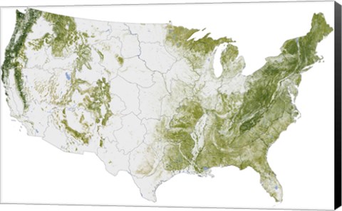 Framed Map of the United States Showing the Concentration of Biomass Print