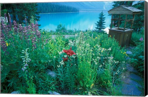 Framed Emerald Lake, Yoho National Park, British Columbia Print