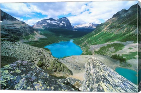 Framed Lake O&#39;Hara, Yoho National Park, British Columbia, Canada Print