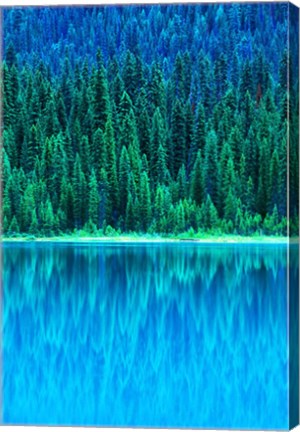 Framed Emerald Lake Boathouse, Yoho National Park, British Columbia, Canada (vertical) Print