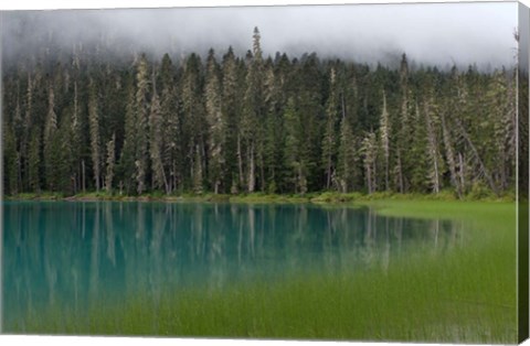 Framed Blue glacial lake, evergreen forest, British Columbia Print