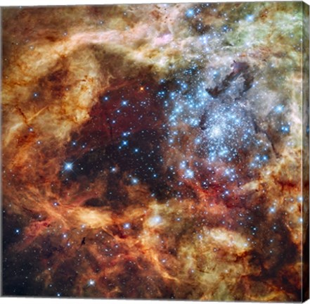 Framed Hubble&#39;s Festive View of a Grand Star-Forming Region Print