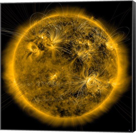 Framed Magnetic Field lines on the Sun Print
